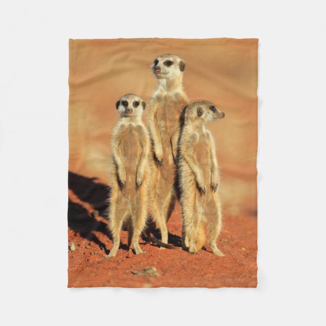 Couverture Polaire Animaux de bébés cutest | 3 Meerkats (Devant)