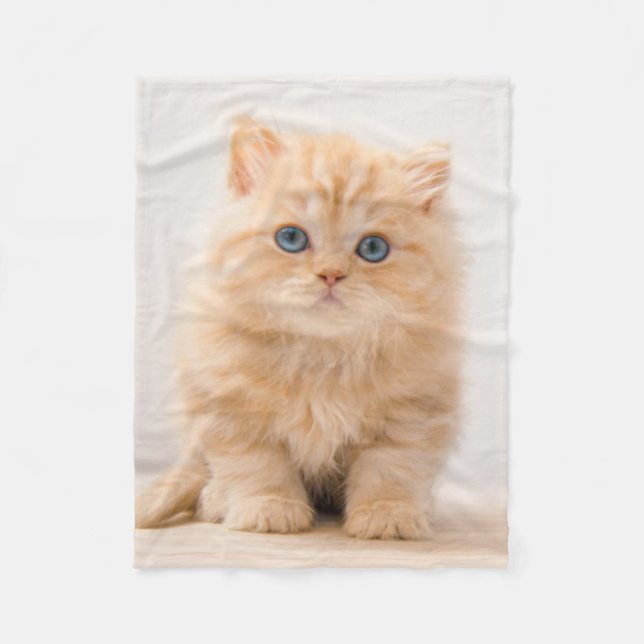 Couverture Polaire Animaux de bébés cutest | A British Longhair Kitte (Devant)
