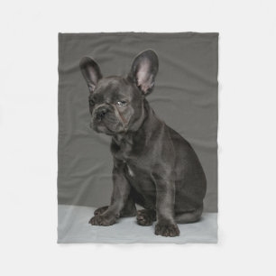 Couverture Polaire Animaux de bébés cutest   Blue French Bulldog Pupp