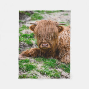 Couverture Polaire Animaux de bébés cutest   Calf de vache des Highla