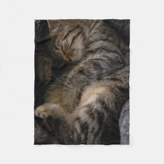 Couverture Polaire Animaux de bébés cutest | Chat Tabby Dormant (Devant)