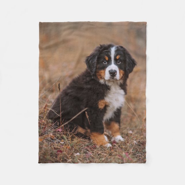 Couverture Polaire Animaux de bébés cutest | Chien de montagne bernoi (Devant)
