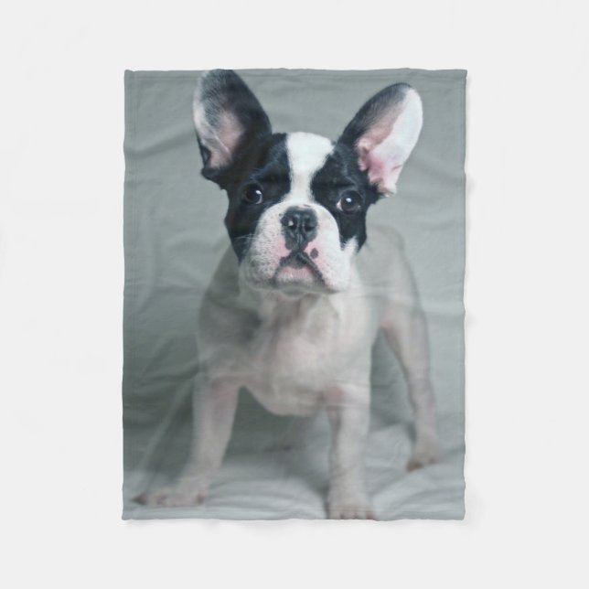 Couverture Polaire Animaux de bébés cutest | French Bulldog Puppy (Devant)