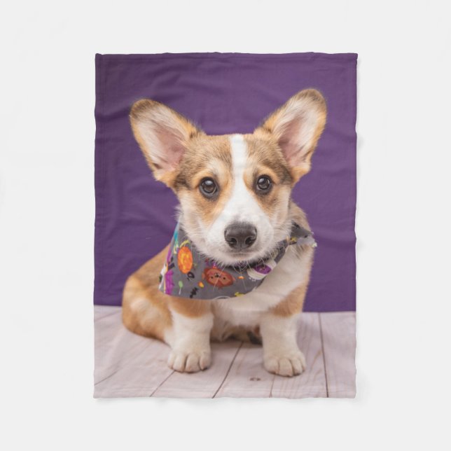 Couverture Polaire Animaux de bébés cutest | Halloween Corgi (Devant)