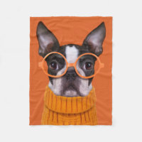 Animaux de bébés cutest | Orange Boston Terrier