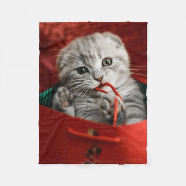 Couverture Polaire Animaux de bébés cutest | Scottish Fold Kitten (Devant)