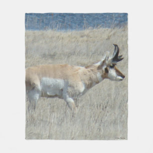 Couverture Polaire Antilope d'Amérique A25