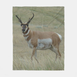 Couverture Polaire Antilope d'Amérique A33 Grand Buck à cornes torsad