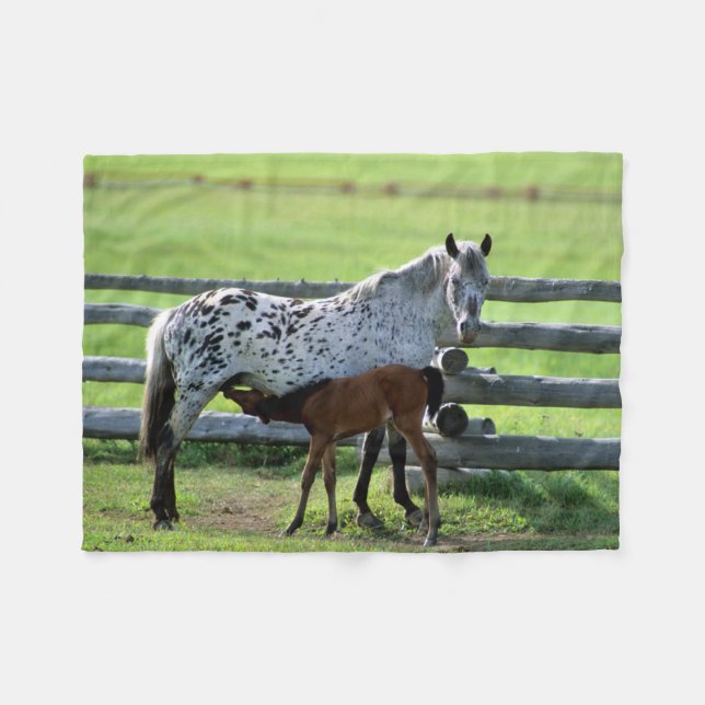 Couverture Polaire Appaloosa Mare et Cheval de Colt (Devant (Horizontal))