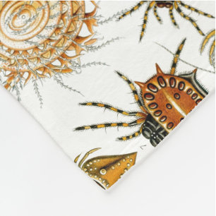 Couverture Polaire Arachnides par Haeckel illustration vintage d'arai