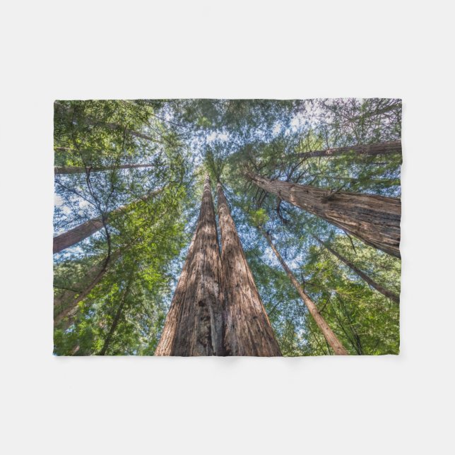 Couverture Polaire Arbres séquoias | Comté de Marin, Californie (Devant (Horizontal))