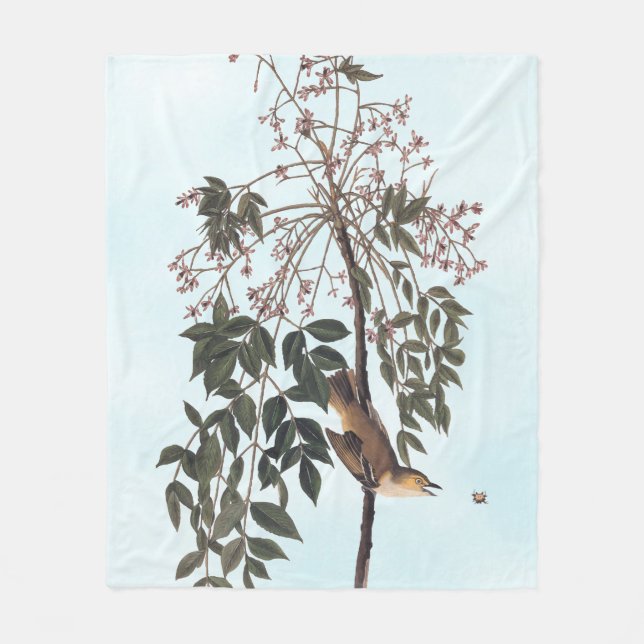 Couverture Polaire Audubon White Eyed Vireo Song Bird Art (Devant)