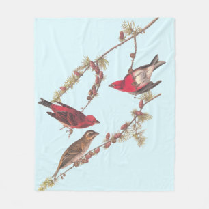 Couverture Polaire Audubon's Purple Finch Trois oiseaux rouges en hiv