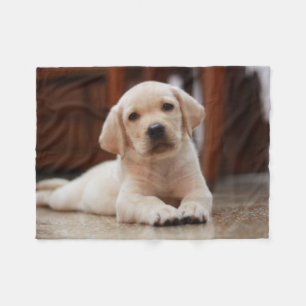 Couverture Polaire Baby Yellow Labrador Puppy Dog posé sur le ventre