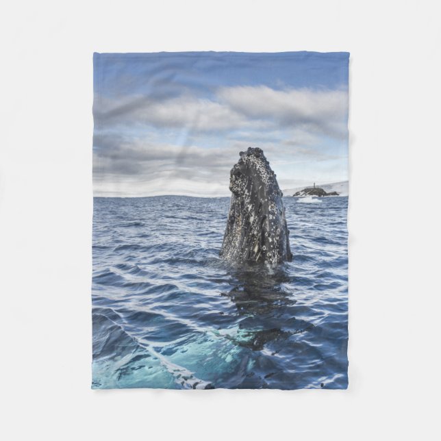 Couverture Polaire Baie d'espoir de Spyhops | de baleine de bosse, (Devant)