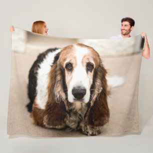 COUVERTURE POLAIRE BASSET HOOK