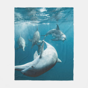 Couverture Polaire Beaux Dauphins Mignons