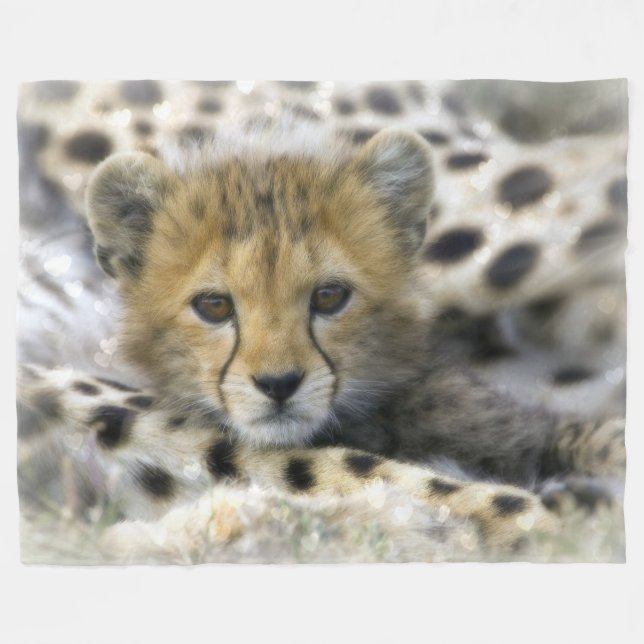 Couverture Polaire Bébé Cheetah Fleece Blanket (Devant (Horizontal))