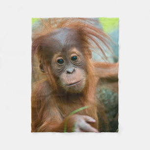 Couverture Polaire Bébé Orangutan, face à face