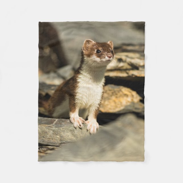 Couverture Polaire Belette vigilante (Devant)