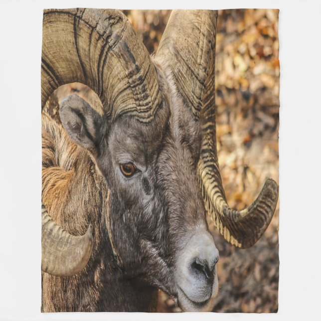 Couverture Polaire Big Horn Ram (Devant)