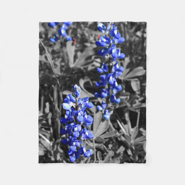 Couverture Polaire Blanche de Bluebonnet (Devant)