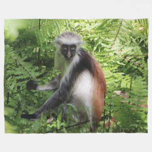 Couverture Polaire Blanche en polaire singe