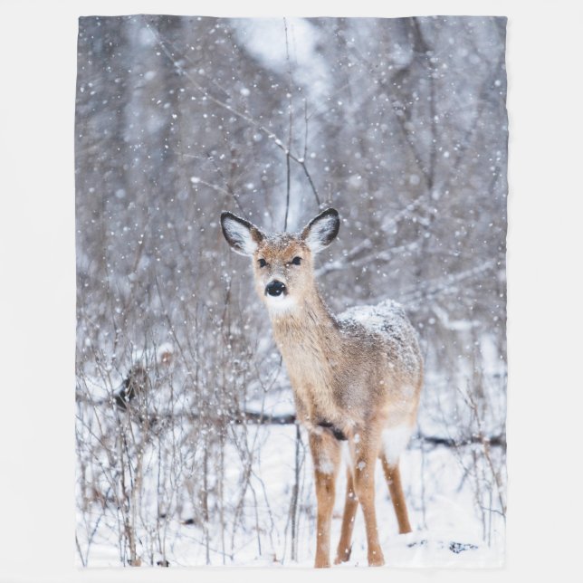 Couverture Polaire Blanchisserie de la flotte de cerfs en hiver (Devant)