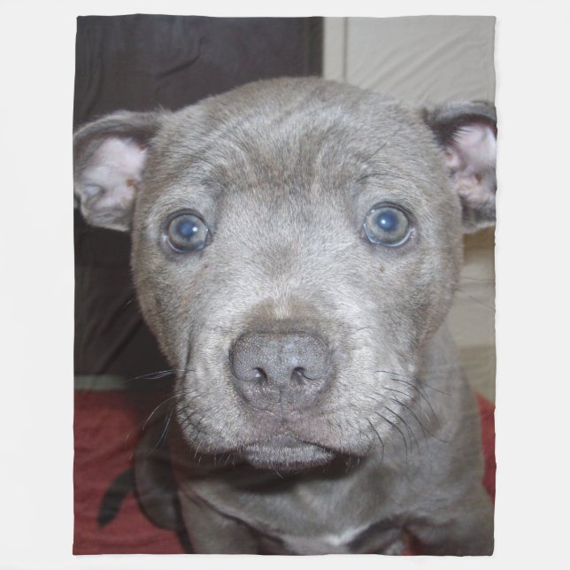 Couverture Polaire Blue Staffordshire Bull Terrier Puppy (Devant)