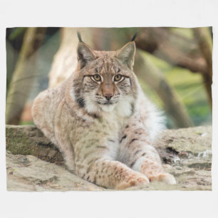 Couverture Polaire Bobcat