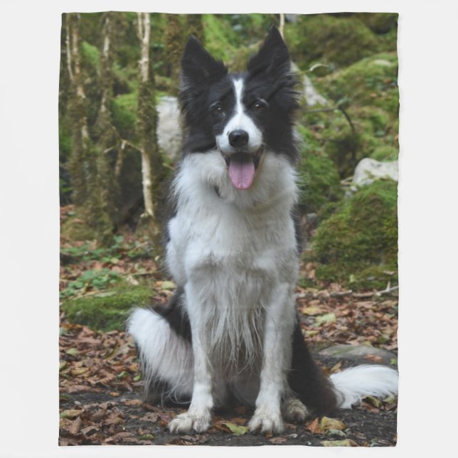 COUVERTURE POLAIRE BORDER COLLIE (Devant)