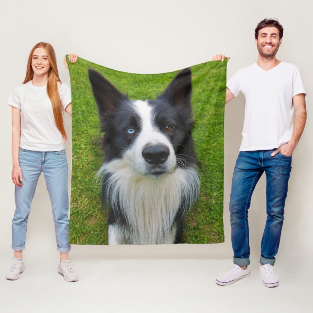 Couverture Polaire Bordure Collie (En situation)