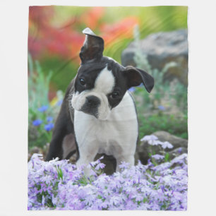 Couverture Polaire Boston Terrier Dog Cute Puppy Animal Head Photo: