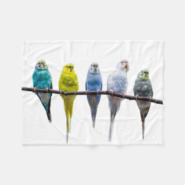 Couverture Polaire Budgies (Devant (Horizontal))