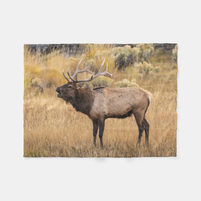 Couverture Polaire Bull Elk | Parc national de Yellowstone (Devant (Horizontal))
