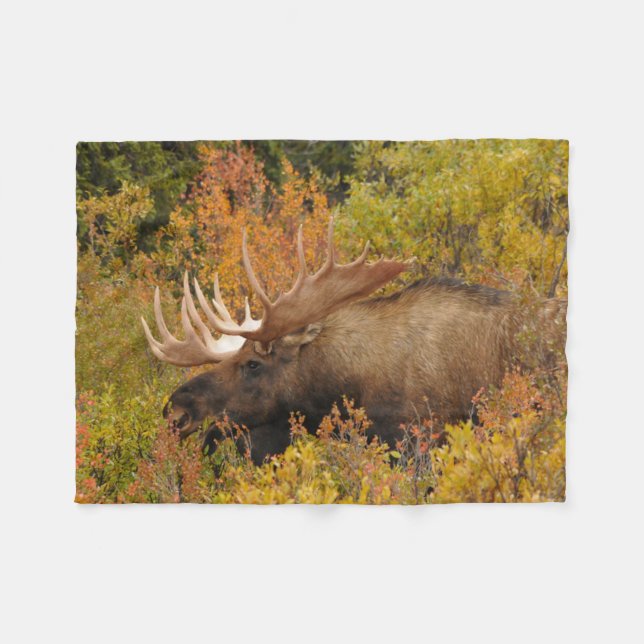 Couverture Polaire Bull Moose | Parc national de Denali, Alaska (Devant (Horizontal))