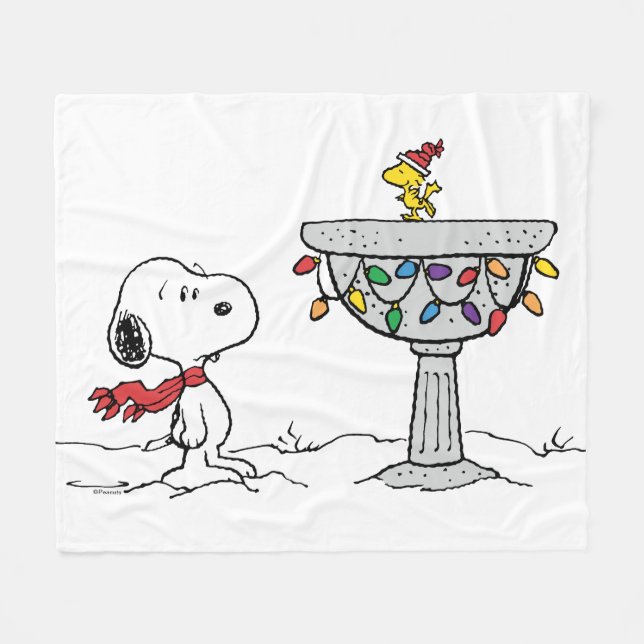 Couverture Polaire cacahuètes | Snoopy & Woodstock Froid Birdbath (Devant (Horizontal))