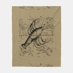 Couverture Polaire Cancer Constellation Hevelius 1690 21 juin-22 juil
