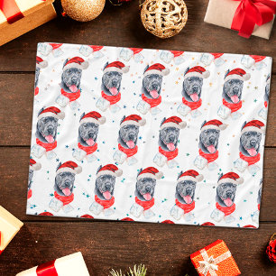 Couverture Polaire Cane Corso Chien race Étoiles de Noël