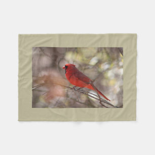 Couverture Polaire Cardinal du nord