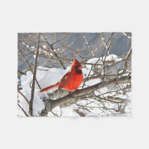 Couverture Polaire Cardinal du nord dans la neige