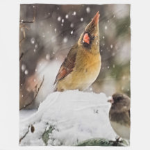 Cardinal Et Bruant Dans La Neige