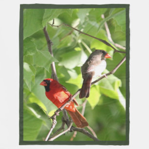 Couverture Polaire Cardinal Mates