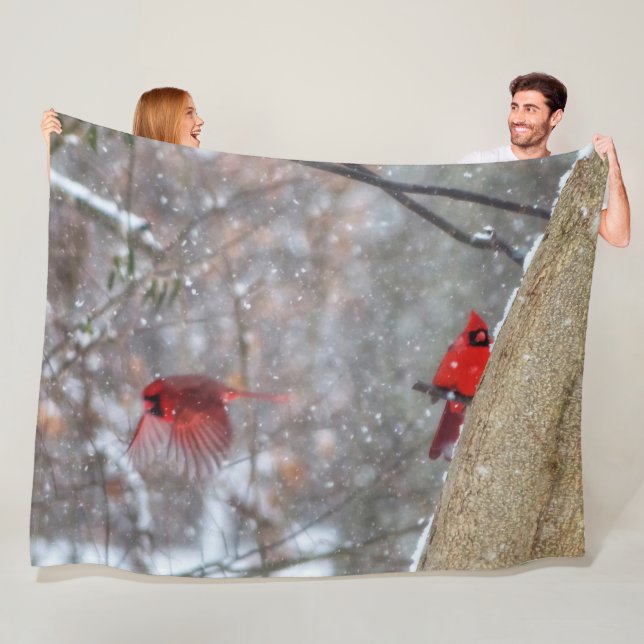 Couverture Polaire Cardinaux dans la neige (En situation)