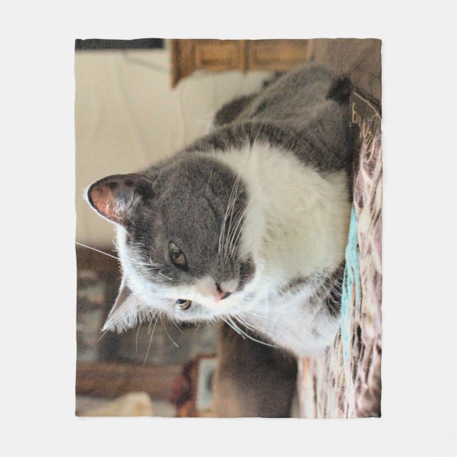 Couverture Polaire Cat (Devant)