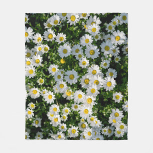 Couverture Polaire Champ de marguerite du printemps : Arrière - plan