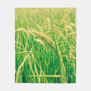 Couverture Polaire Champ de riz en rural et frais, vintage style