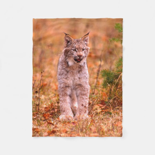 Couverture Polaire Chasse au lynx roux | Forêt automnale (Devant)