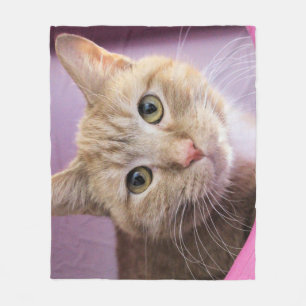 Couverture Polaire Chat