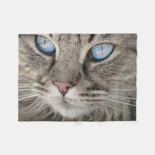 Couverture Polaire Chat Beau Gros Plan